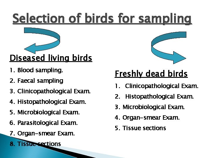 Selection of birds for sampling Diseased living birds 1. Blood sampling. 2. Faecal sampling