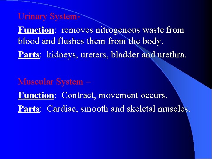 Urinary System. Function: removes nitrogenous waste from blood and flushes them from the body.