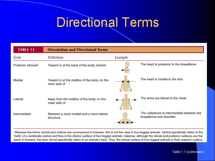 Directional Terms Table 1. 1 (continued) 