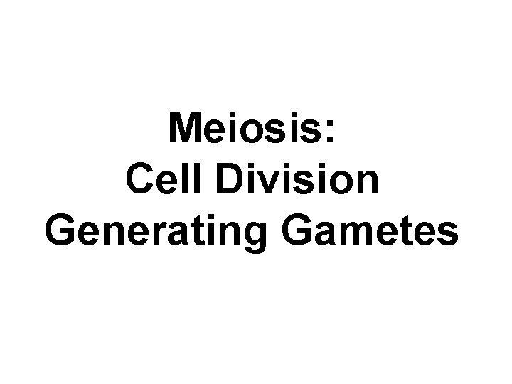 Meiosis: Cell Division Generating Gametes 