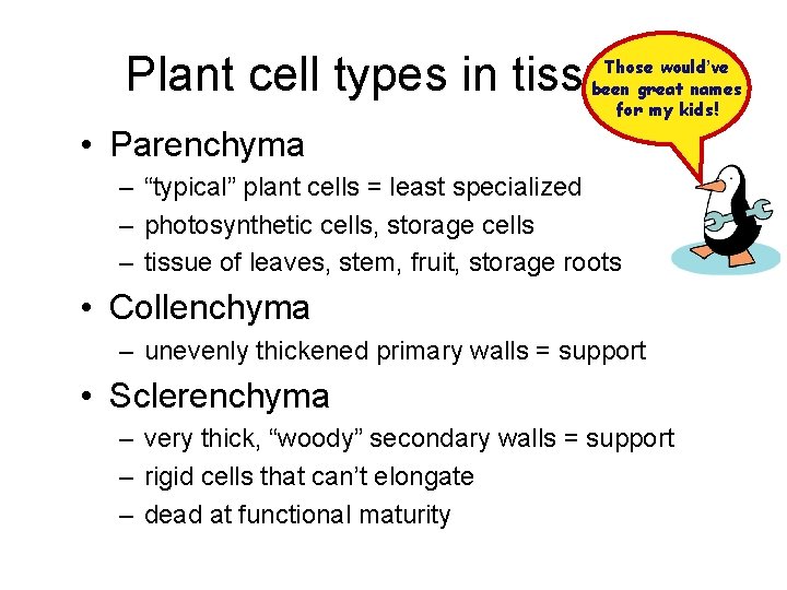 Plant cell types in tissues Those would’ve been great names for my kids! •
