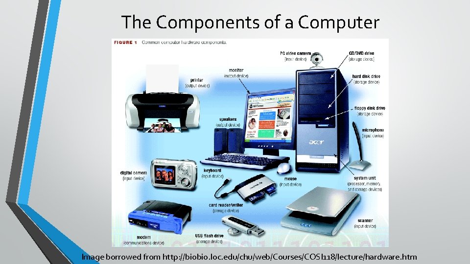 The Components of a Computer Image borrowed from http: //biobio. loc. edu/chu/web/Courses/COSI 118/lecture/hardware. htm