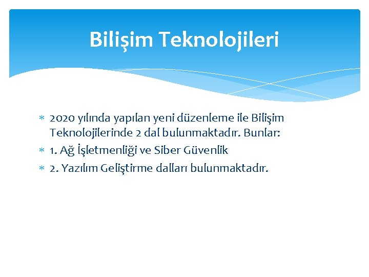 Bilişim Teknolojileri 2020 yılında yapılan yeni düzenleme ile Bilişim Teknolojilerinde 2 dal bulunmaktadır. Bunlar: