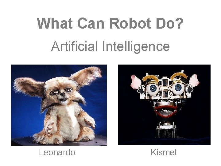 What Can Robot Do? Artificial Intelligence Leonardo Kismet 