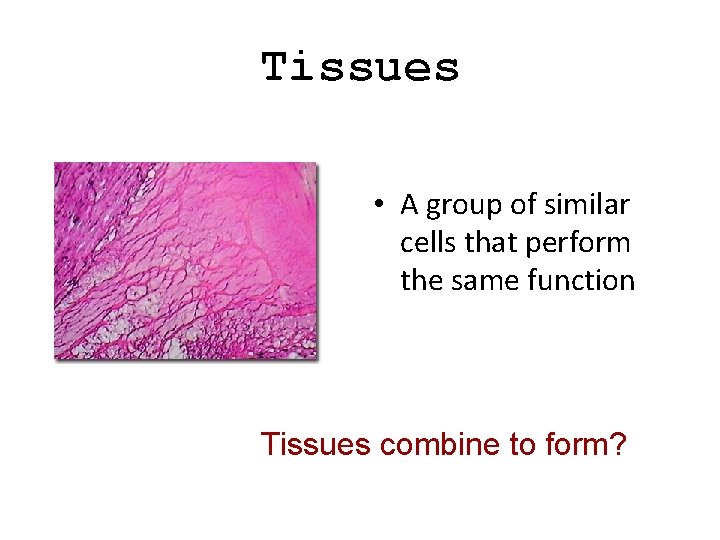 Tissues • A group of similar cells that perform the same function Tissues combine