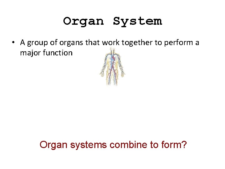 Organ System • A group of organs that work together to perform a major