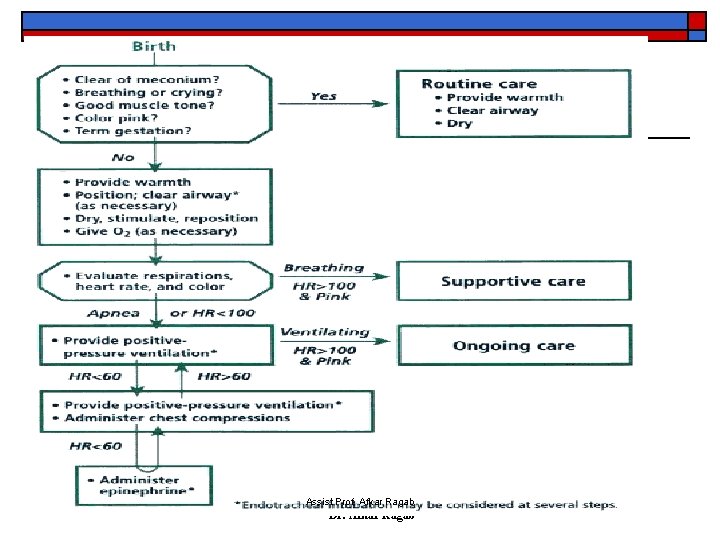 1/30/2022 Assist Prof Afkar Ragab Dr. Afkar Ragab 