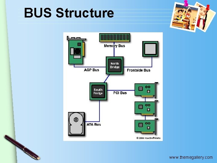 BUS Structure www. themegallery. com 