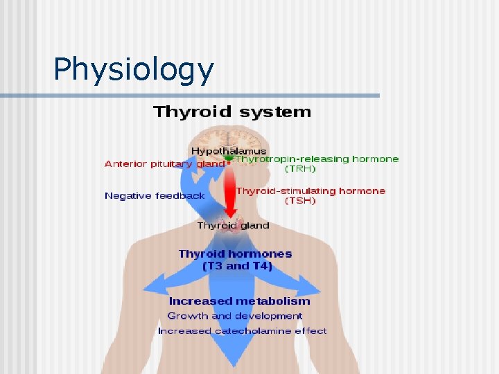 Physiology 