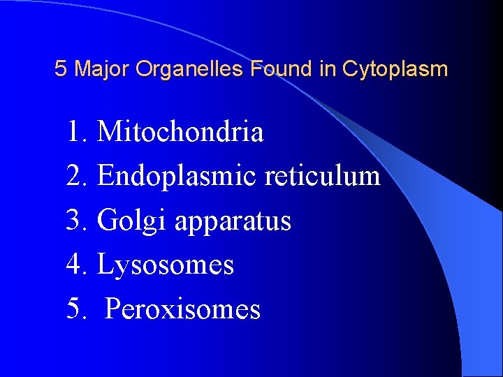 5 Major Organelles Found in Cytoplasm 1. Mitochondria 2. Endoplasmic reticulum 3. Golgi apparatus