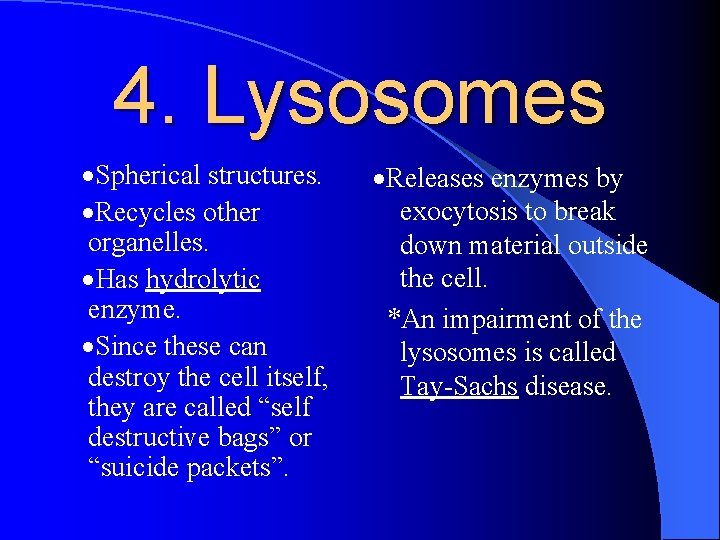 4. Lysosomes ·Spherical structures. ·Recycles other organelles. ·Has hydrolytic enzyme. ·Since these can destroy