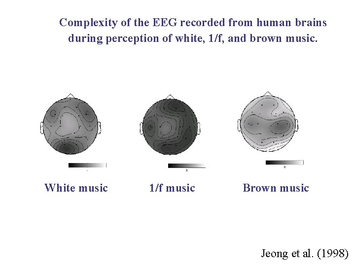 Complexity of the EEG recorded from human brains during perception of white, 1/f, and