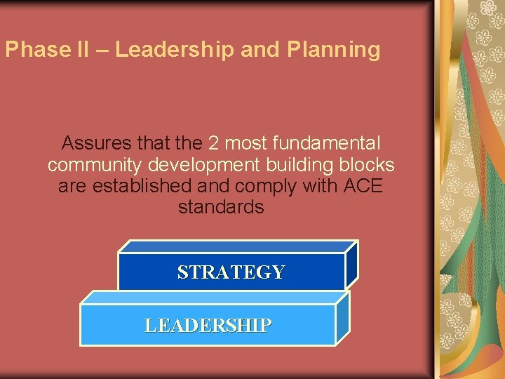 Phase II – Leadership and Planning Assures that the 2 most fundamental community development