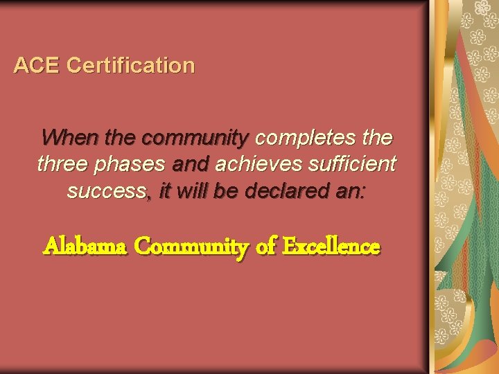 ACE Certification When the community completes the three phases and achieves sufficient success, it