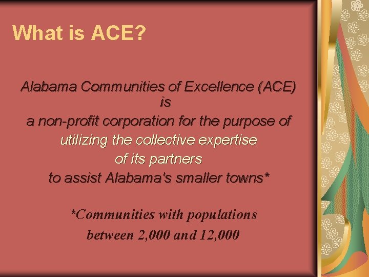 What is ACE? Alabama Communities of Excellence (ACE) is a non-profit corporation for the