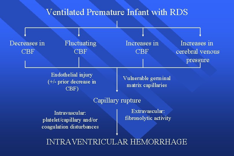 Ventilated Premature Infant with RDS Decreases in CBF Fluctuating CBF Endothelial injury (+/- prior