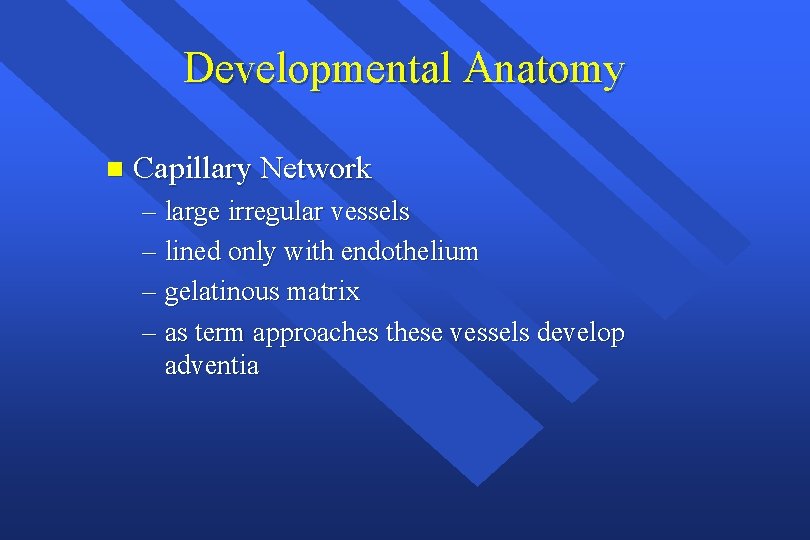 Developmental Anatomy n Capillary Network – large irregular vessels – lined only with endothelium