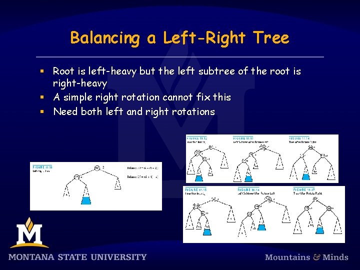 Balancing a Left-Right Tree § Root is left-heavy but the left subtree of the