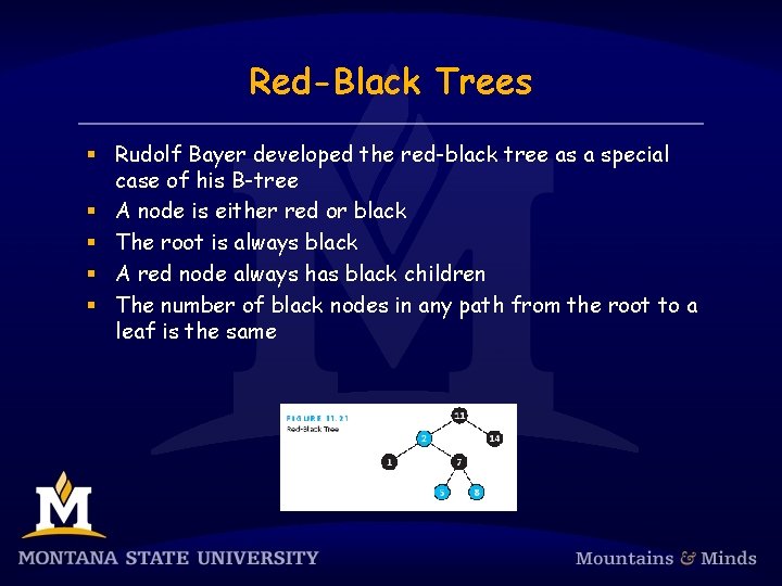 Red-Black Trees § Rudolf Bayer developed the red-black tree as a special case of