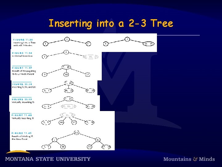 Inserting into a 2 -3 Tree 