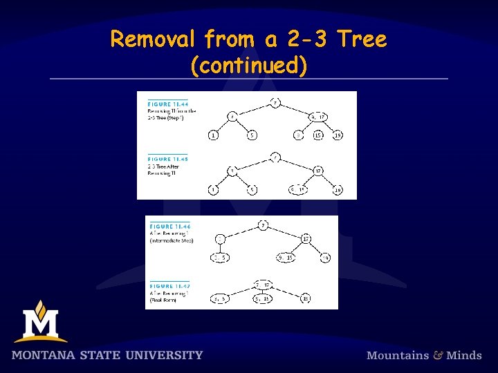 Removal from a 2 -3 Tree (continued) 