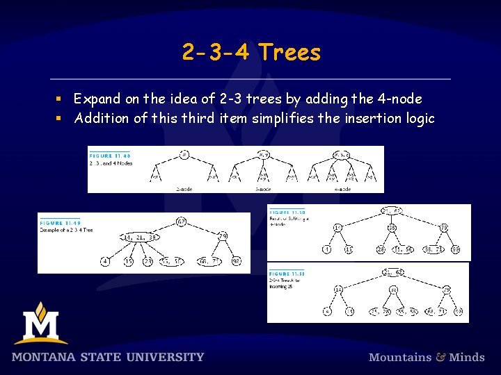 2 -3 -4 Trees § Expand on the idea of 2 -3 trees by