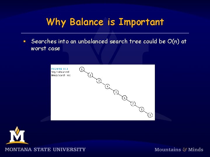 Why Balance is Important § Searches into an unbalanced search tree could be O(n)