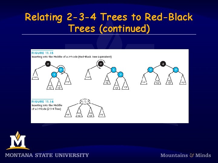 Relating 2 -3 -4 Trees to Red-Black Trees (continued) 