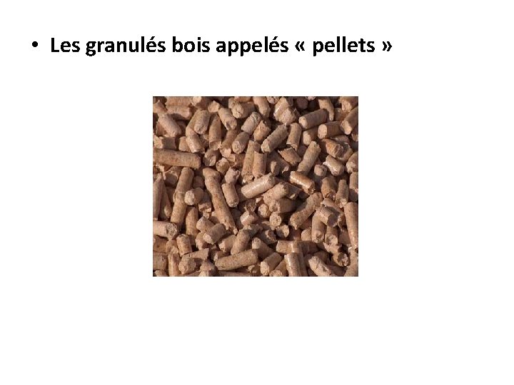  • Les granulés bois appelés « pellets » 