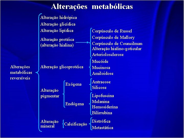 Alterações metabólicas Alteração hidrópica Alteração glicídica Alteração lipídica Alteração protéica (alteração hialina) Alterações metabólicas