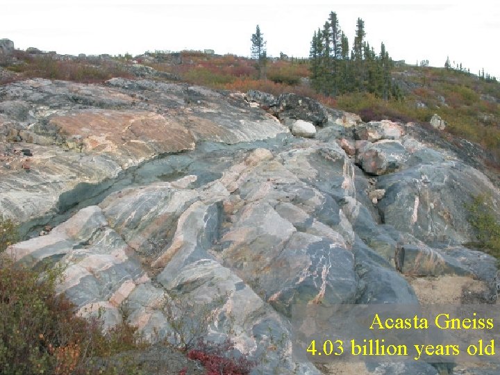 Acasta Gneiss 4. 03 billion years old Acasta Gneiss 4. 03 billion years old