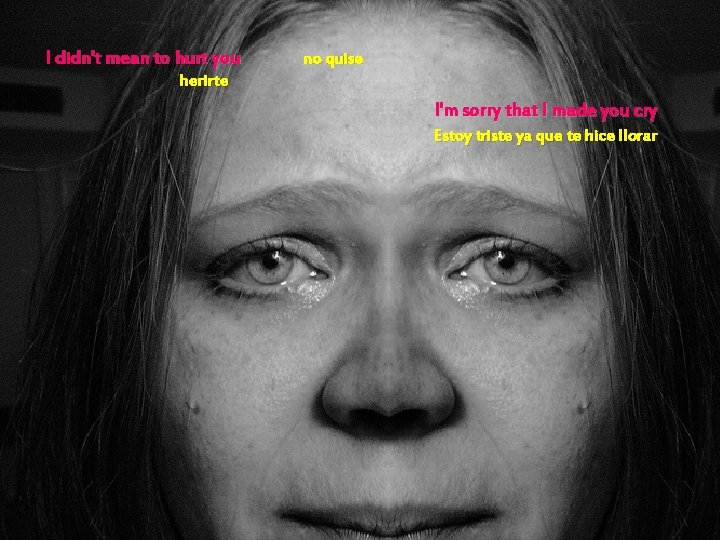 I didn't mean to hurt you no quise herirte I'm sorry that I made