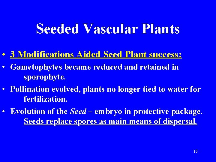 Seeded Vascular Plants • 3 Modifications Aided Seed Plant success: • Gametophytes became reduced