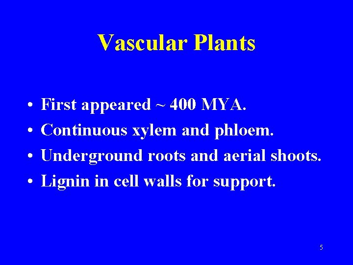 Vascular Plants • • First appeared ~ 400 MYA. Continuous xylem and phloem. Underground