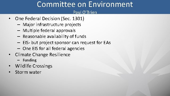 Committee on Environment Paul O’Brien • One Federal Decision (Sec. 1301) – Major infrastructure