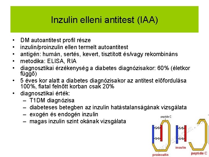 Inzulin elleni antitest (IAA) • • • DM autoantitest profil része inzulin/proinzulin ellen termelt