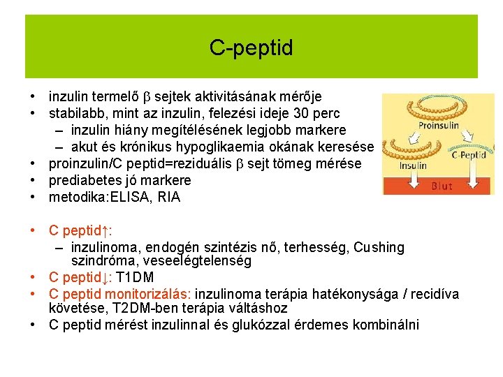 C-peptid • inzulin termelő sejtek aktivitásának mérője • stabilabb, mint az inzulin, felezési ideje