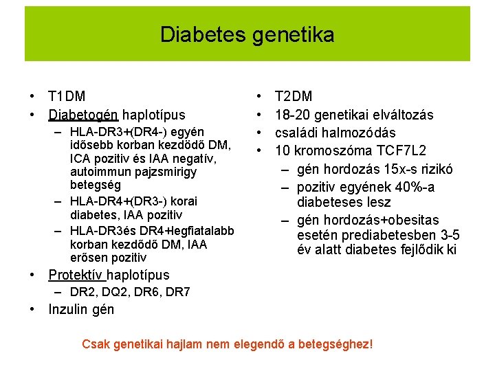 Diabetes genetika • T 1 DM • Diabetogén haplotípus – HLA-DR 3+(DR 4 -)