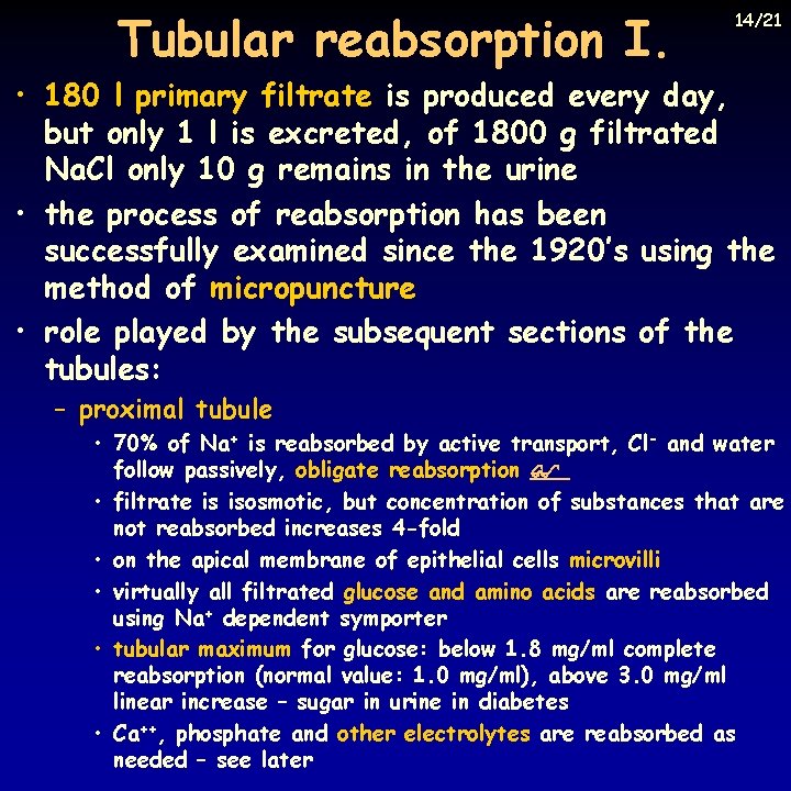 Tubular reabsorption I. 14/21 • 180 l primary filtrate is produced every day, but