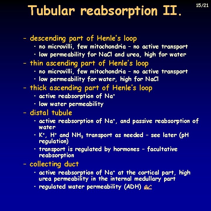 Tubular reabsorption II. 15/21 – descending part of Henle’s loop • no microvilli, few