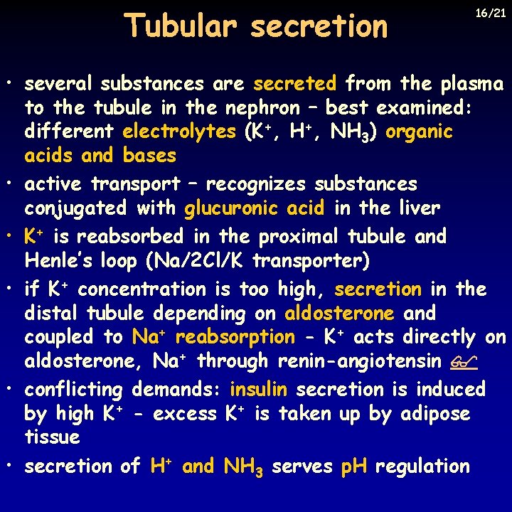Tubular secretion 16/21 • several substances are secreted from the plasma to the tubule
