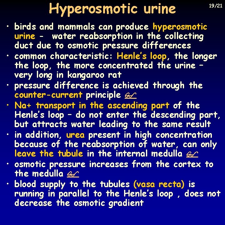 Hyperosmotic urine 19/21 • birds and mammals can produce hyperosmotic urine - water reabsorption