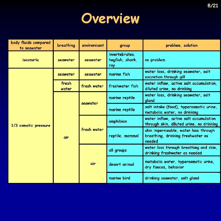 Overview 8/21 