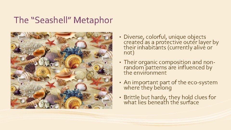 The “Seashell” Metaphor • Diverse, colorful, unique objects created as a protective outer layer