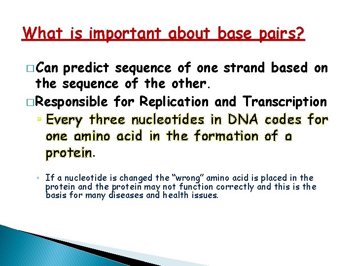 What is important about base pairs? � Can predict sequence of one strand based