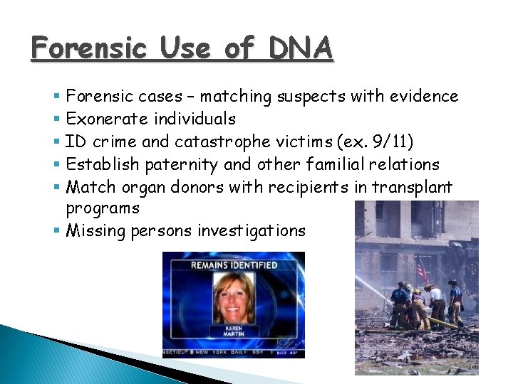 Forensic Use of DNA § Forensic cases – matching suspects with evidence § Exonerate