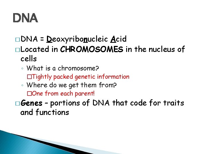 DNA � DNA = Deoxyribonucleic Acid � Located in CHROMOSOMES in the nucleus of