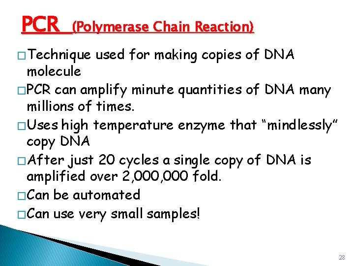 PCR (Polymerase Chain Reaction) � Technique used for making copies of DNA molecule �