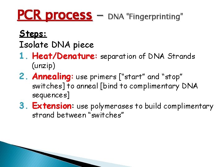 PCR process - DNA “Fingerprinting” Steps: Isolate DNA piece 1. Heat/Denature: separation of DNA