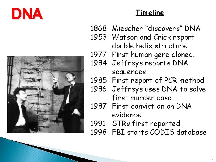 DNA Timeline 1868 Miescher “discovers” DNA 1953 Watson and Crick report double helix structure